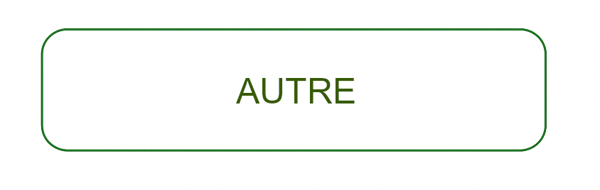 bouton AUTRE